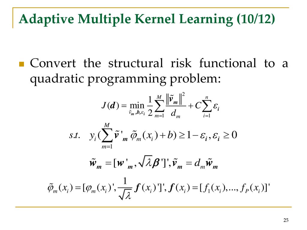Adaptive Multiple Kernel Learning (10/12)