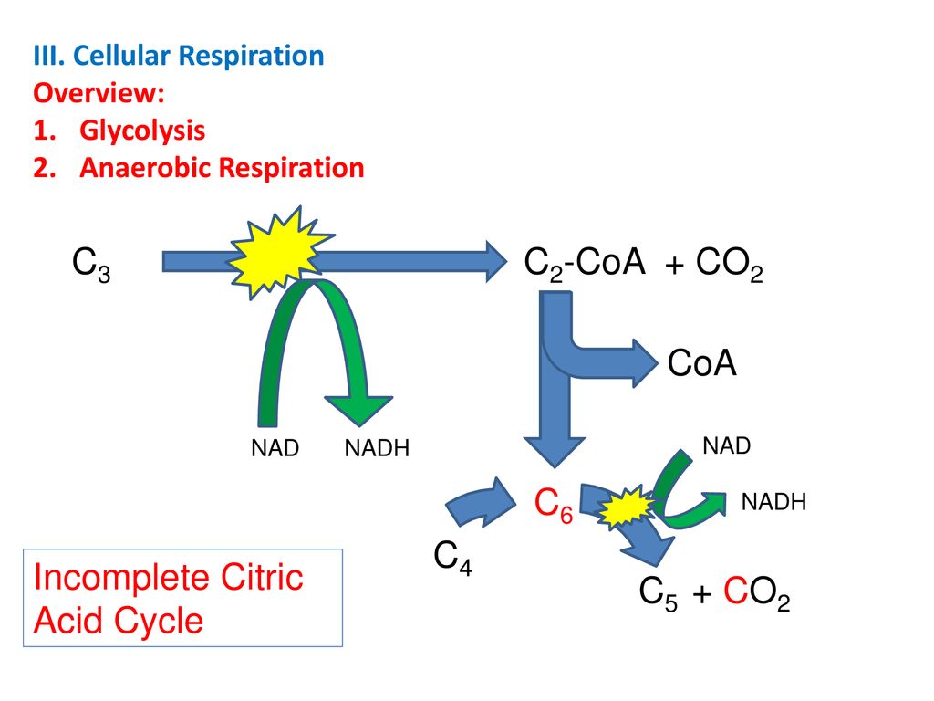 Cell Biology Overview II. Membranes – How Things Get in and Out of ...