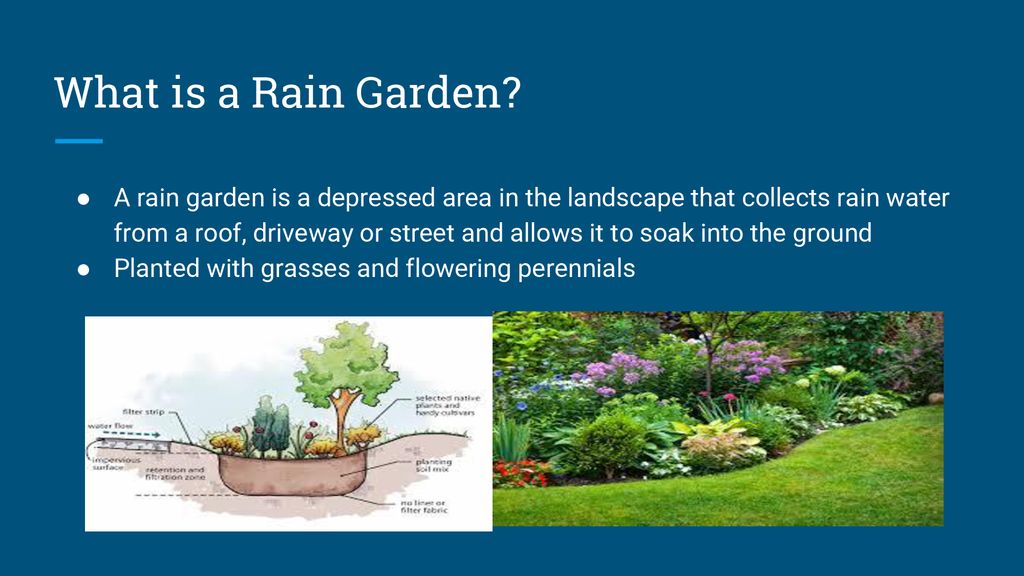 Lid Research Rain Gardens And Rain Barrels Ppt Download