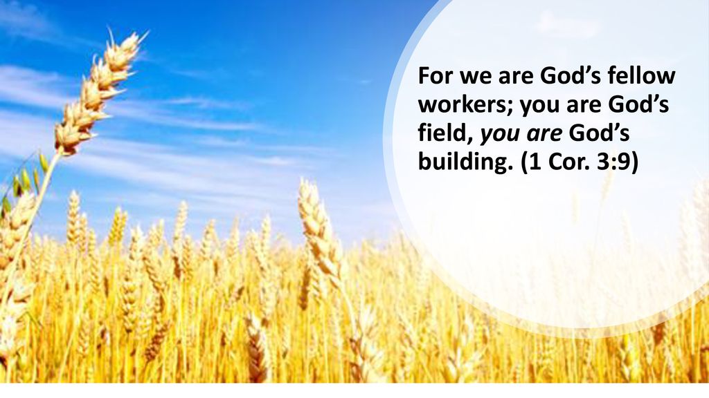 Fellow Workers With God Part 1 Ppt Download