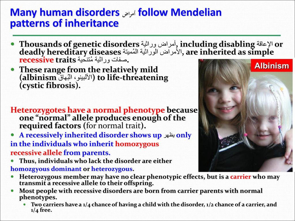 MENDEL AND THE GENE IDEA Gregor Mendel s Discoveries ppt download