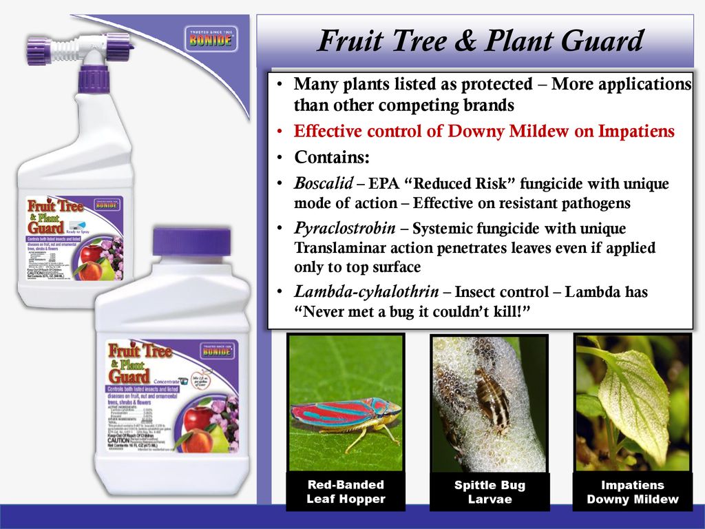 2019 Product Training Marketing Meeting Ppt Download