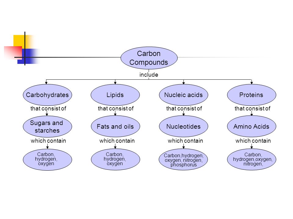Concept Map Organic Compounds The Components Of Life Organic Chemistry. - Ppt Download Concept Map Organic Compounds The Components Of Life Organic Chemistry. - Ppt Download