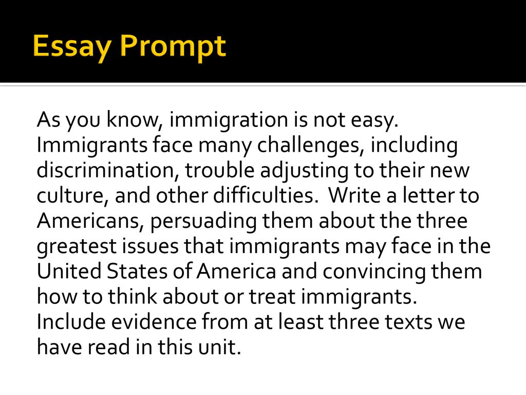 immigrants problems essay