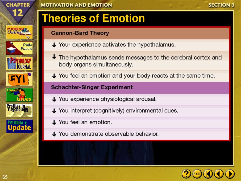 Theories Of Emotion Chart