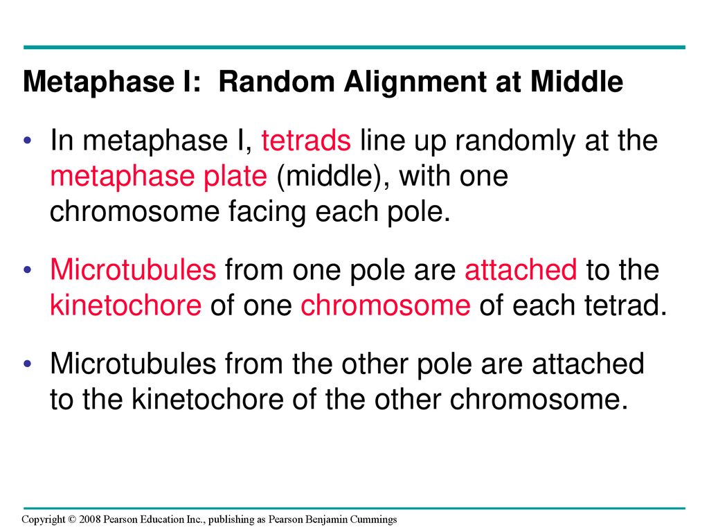 Meiosis and Sexual Life Cycles Biology Diagrams