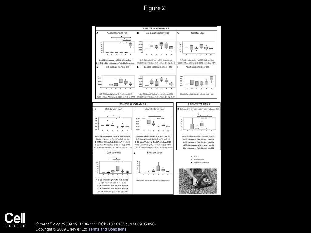 Reconstructing the Evolution of Laughter in Great Apes and Humans - ppt