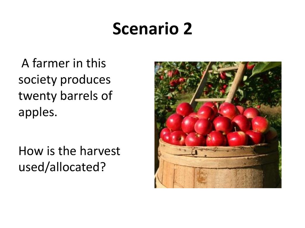 Scenario 2 A farmer in this society produces twenty barrels of apples.