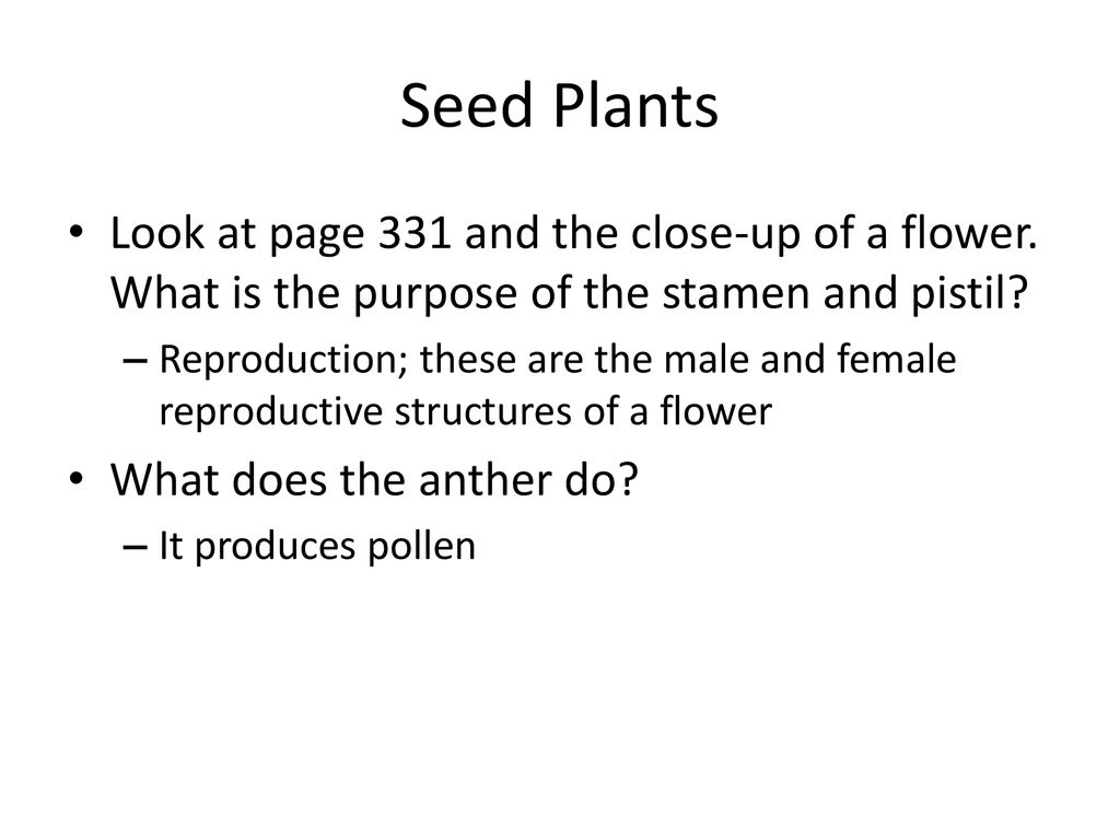 Seed Plants Look at page 331 and the close-up of a flower. What is the purpose of the stamen and pistil