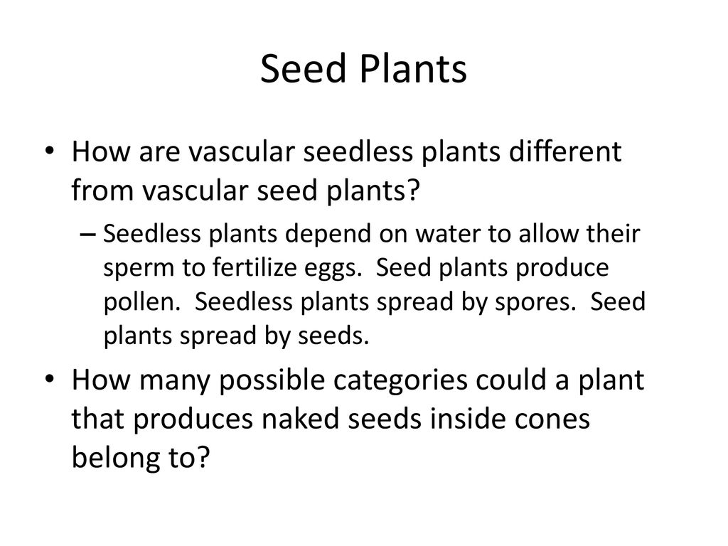 Seed Plants How are vascular seedless plants different from vascular seed plants