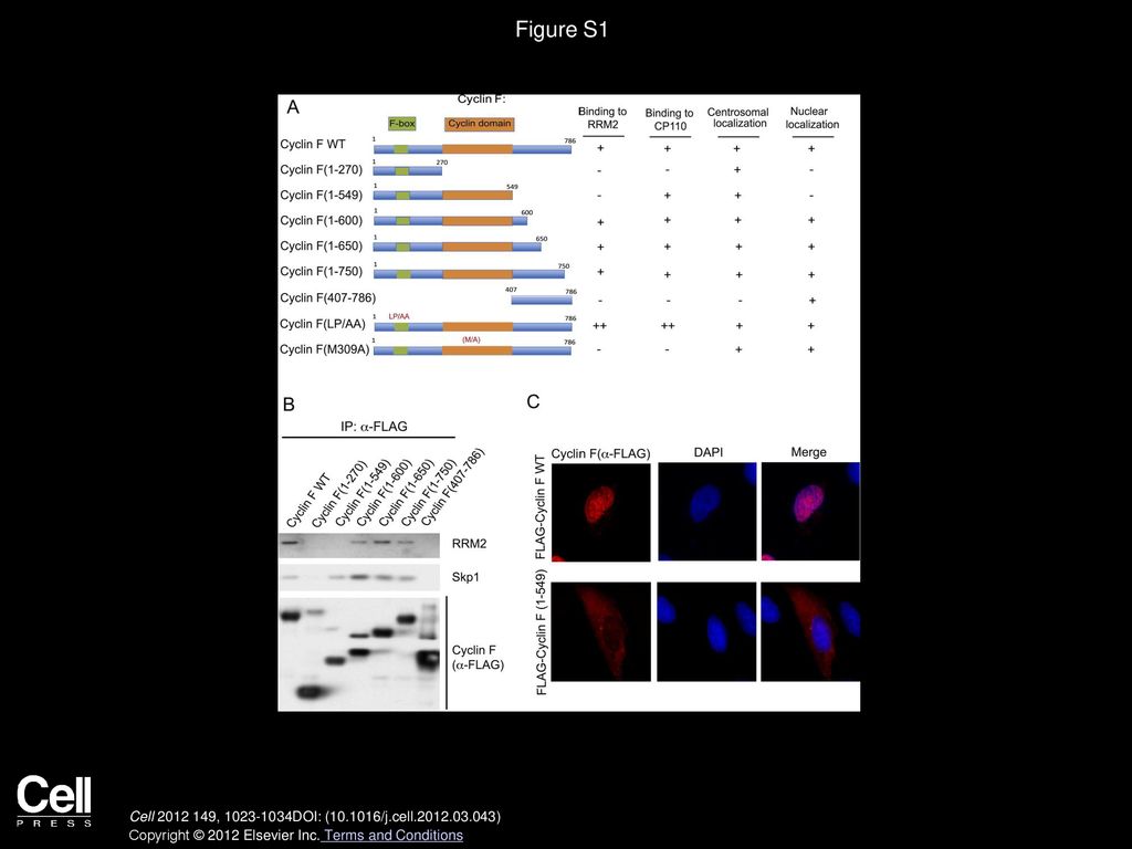 Volume 149, Issue 5, Pages (May 2012) Biology Diagrams