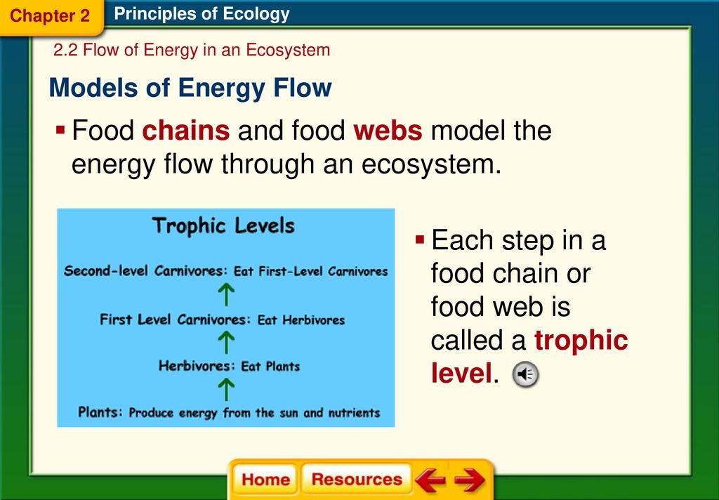 Flow of Energy (2.2) State Standard SB4B. Explain the flow of matter ... Biology Diagrams