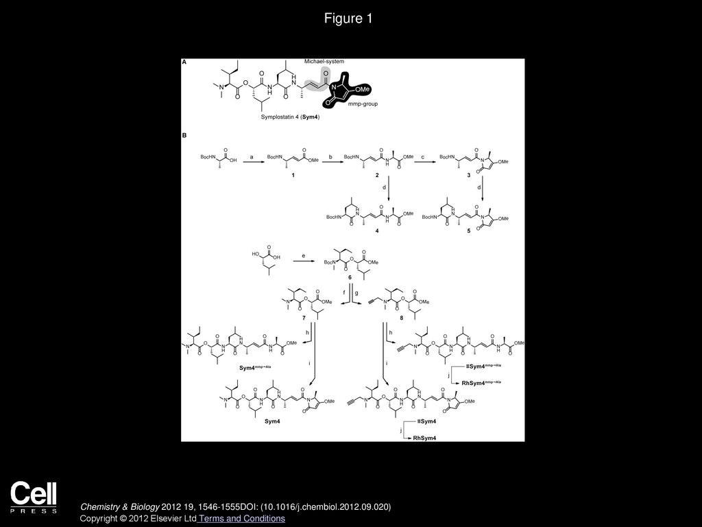 Volume 19, Issue 12, Pages (December 2012) - ppt download