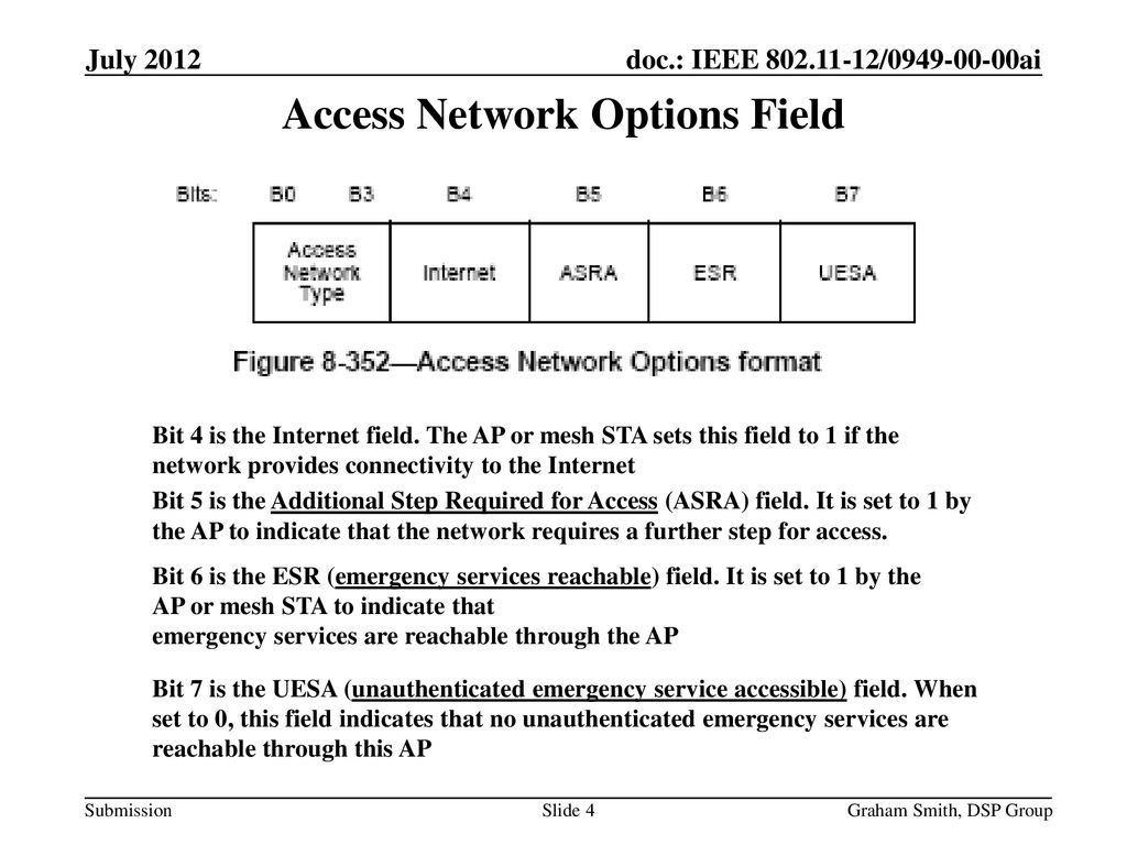 Access Network Options Field