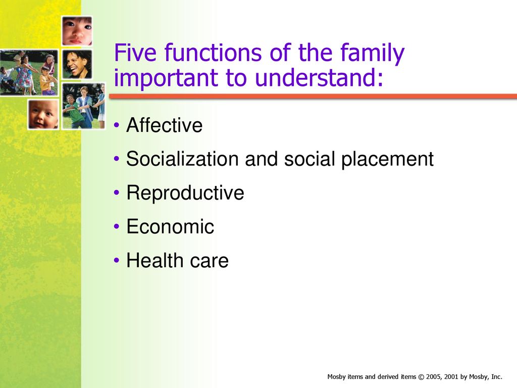 Five functions of the family important to understand: