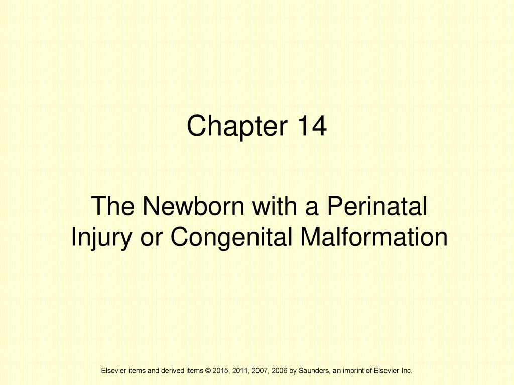 The Newborn with a Perinatal Injury or Congenital Malformation