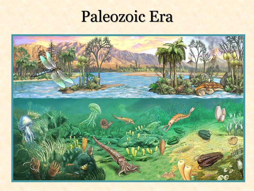 Ранний палеозой растения. Палеозой Эра. Палеозойская Эра Эра. Палеозойский период палеозойской эры. Море в палеозойскую эру.