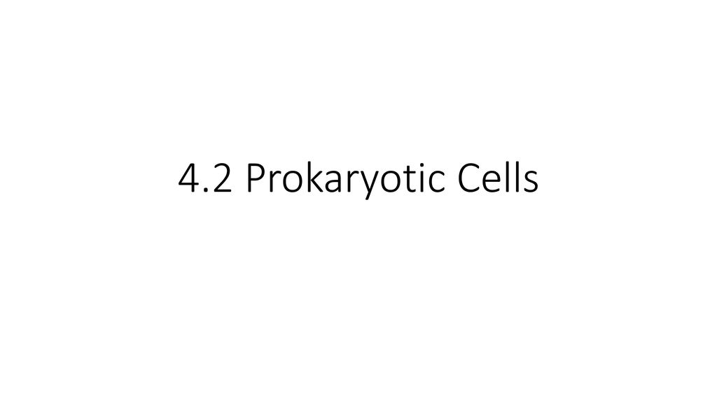 Chapter 4 Cell Structure - ppt download