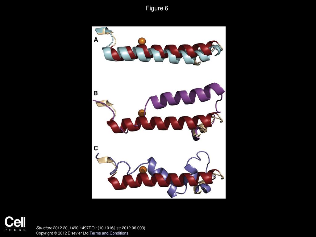 Crystal structure of 12-lipoxygenase catalytic-domain-inhibitor complex