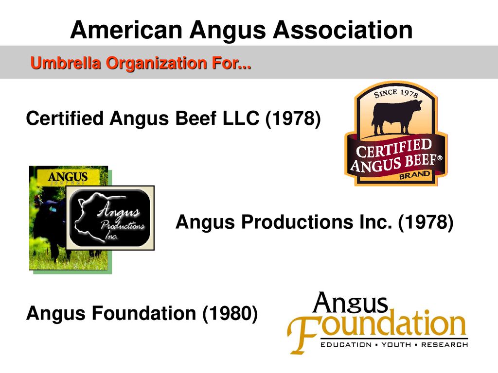 Rod Wesselman Regional Manager American Angus Association - ppt download
