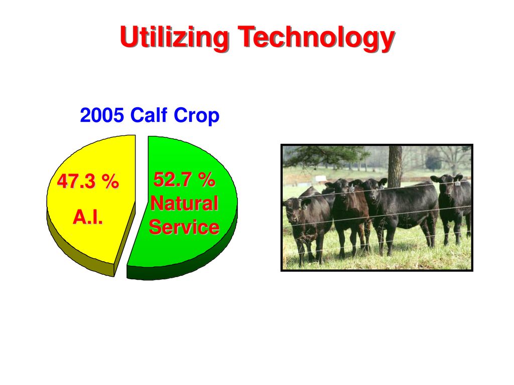 Rod Wesselman Regional Manager American Angus Association - ppt download