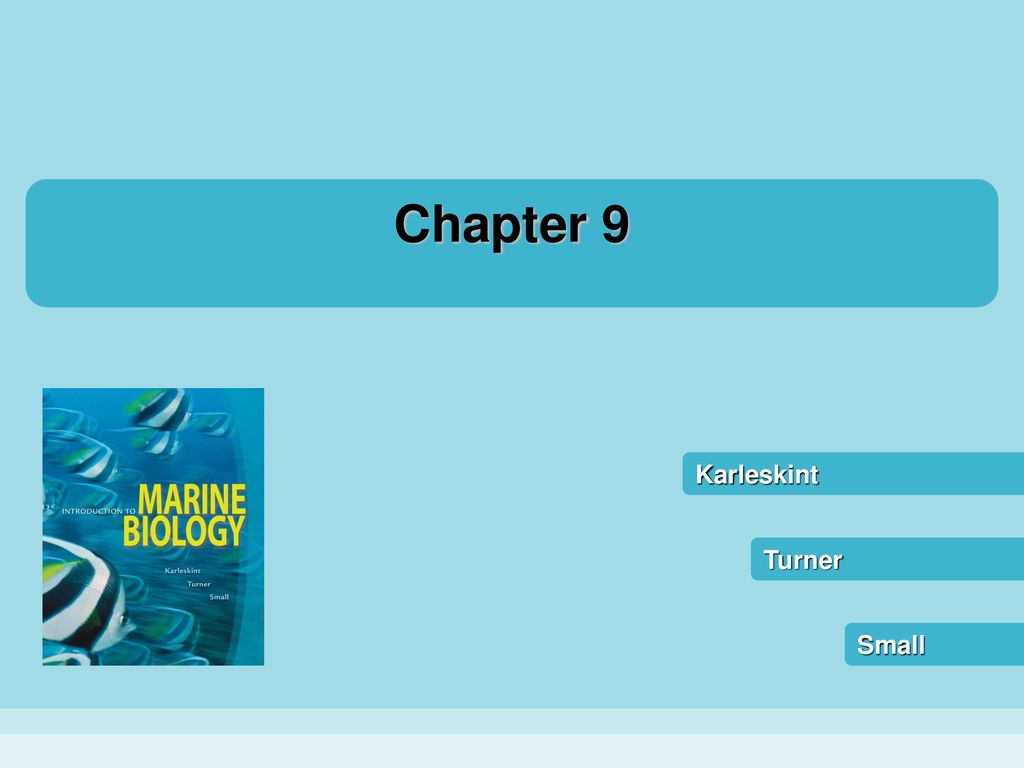 Chapter ppt download