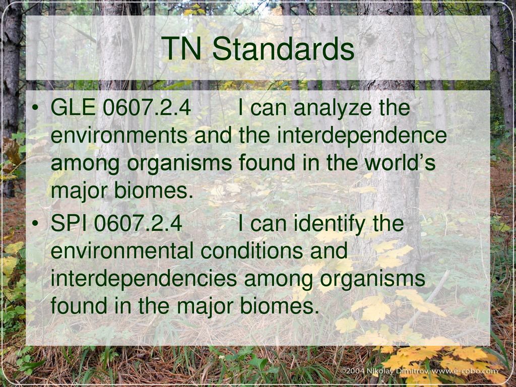 TN Standards GLE I can analyze the environments and the interdependence among organisms found in the world’s major biomes.