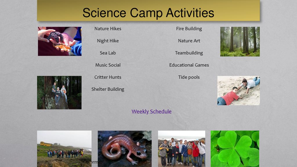 Science Camp Activities