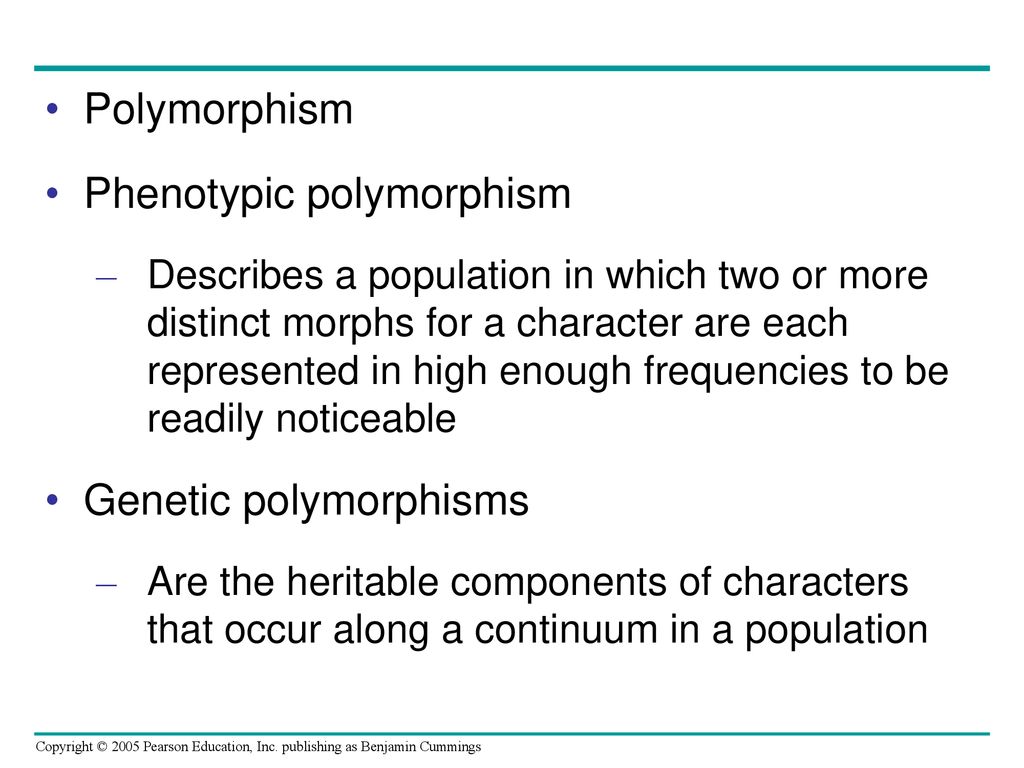 Phenotypic polymorphism
