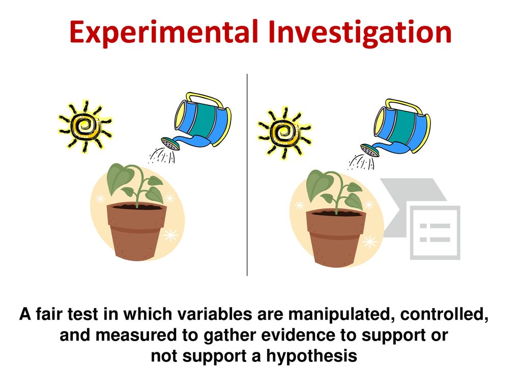 experimental investigation synonym