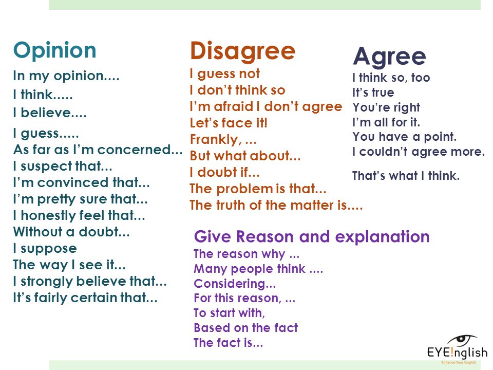 Agree disagree essay topics