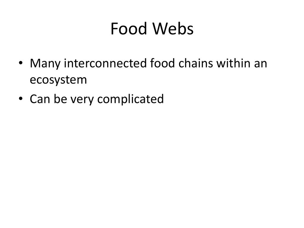 Ecology: The Study of Ecosystems Biology Diagrams