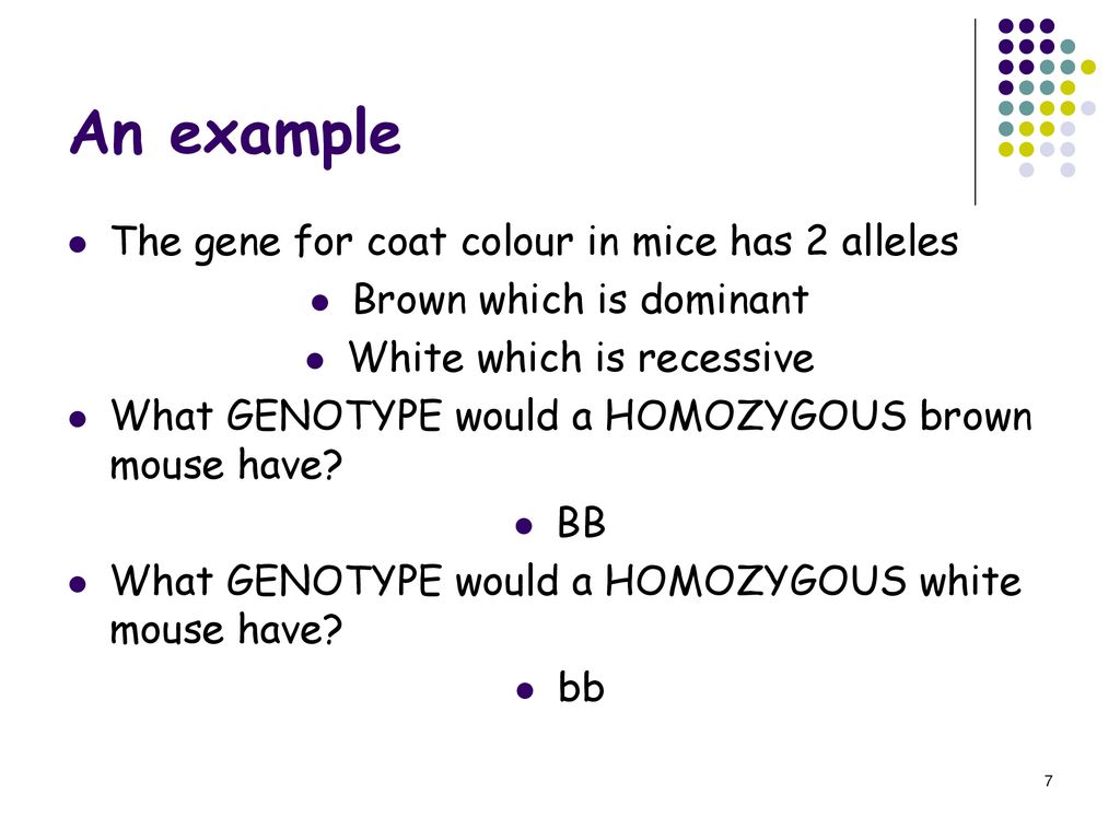 Monohybrid Crosses Ppt Download