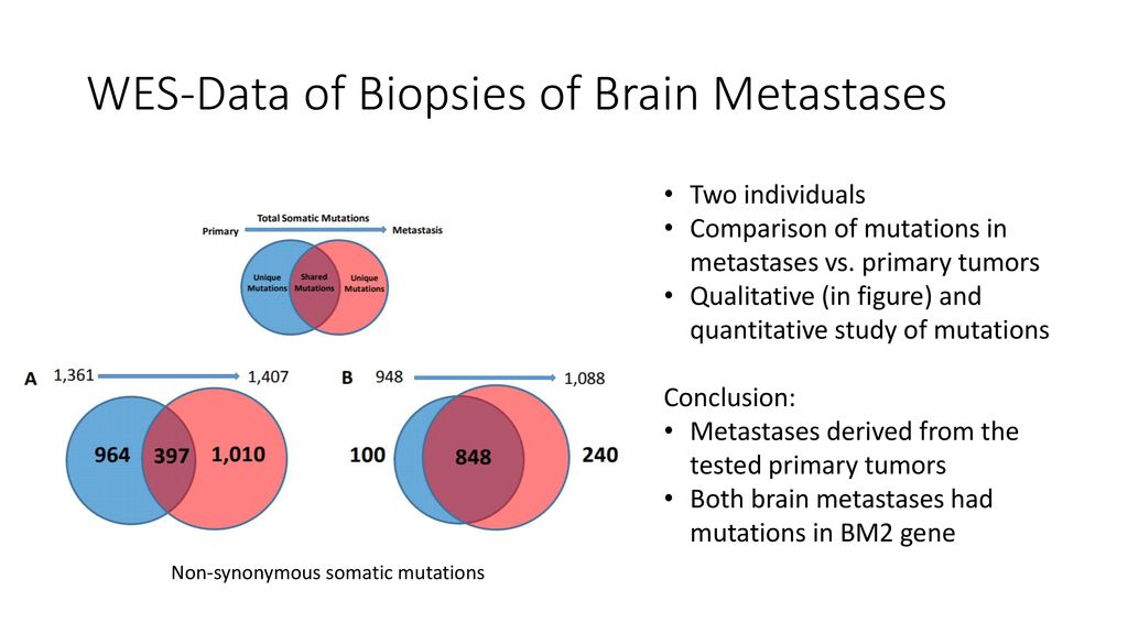 WES-Data of Biopsies of Brain Metastases