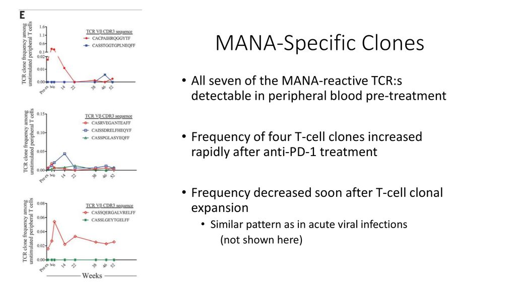 MANA-Specific Clones All seven of the MANA-reactive TCR:s detectable in peripheral blood pre-treatment.