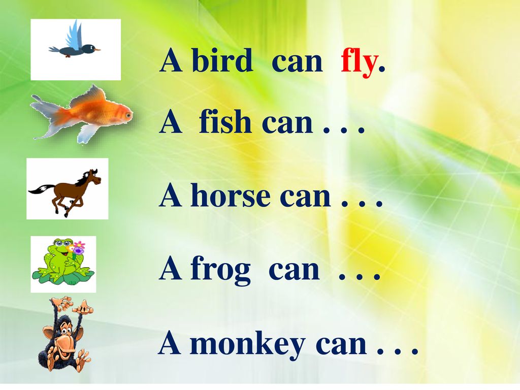 A bird can climb. Задания на can с animals. Задания, что умеют делать животные. Что умеют делать животные на английском. I can Jump презентация.