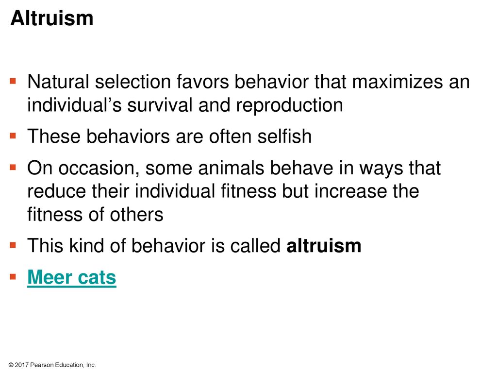 Altruism Natural selection favors behavior that maximizes an individual’s survival and reproduction.