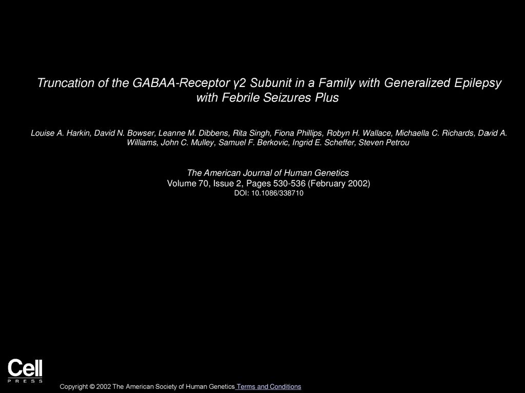 Truncation of the GABAA-Receptor γ2 Subunit in a Family with Generalized Epilepsy with Febrile Seizures Plus