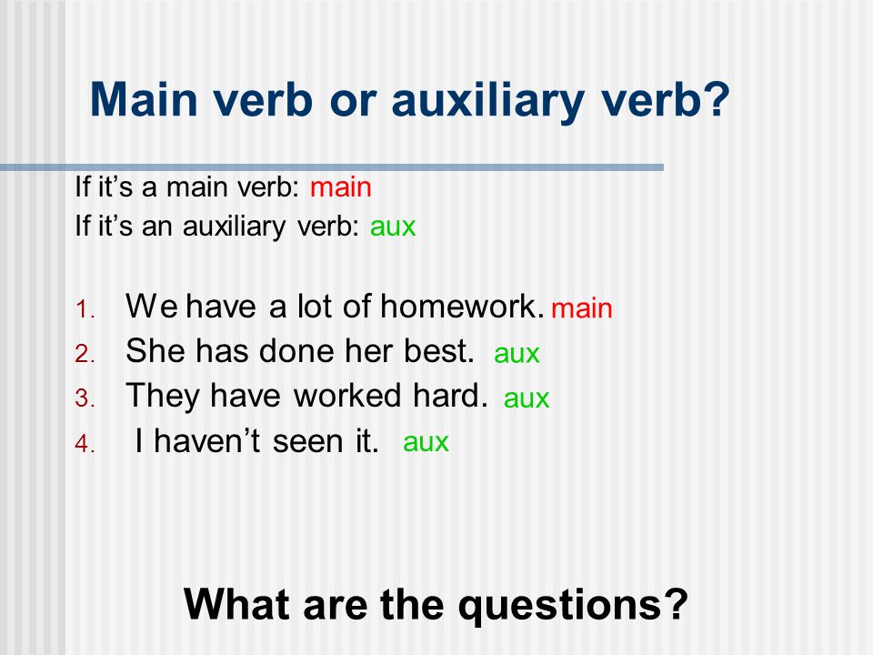Main verb or auxiliary verb