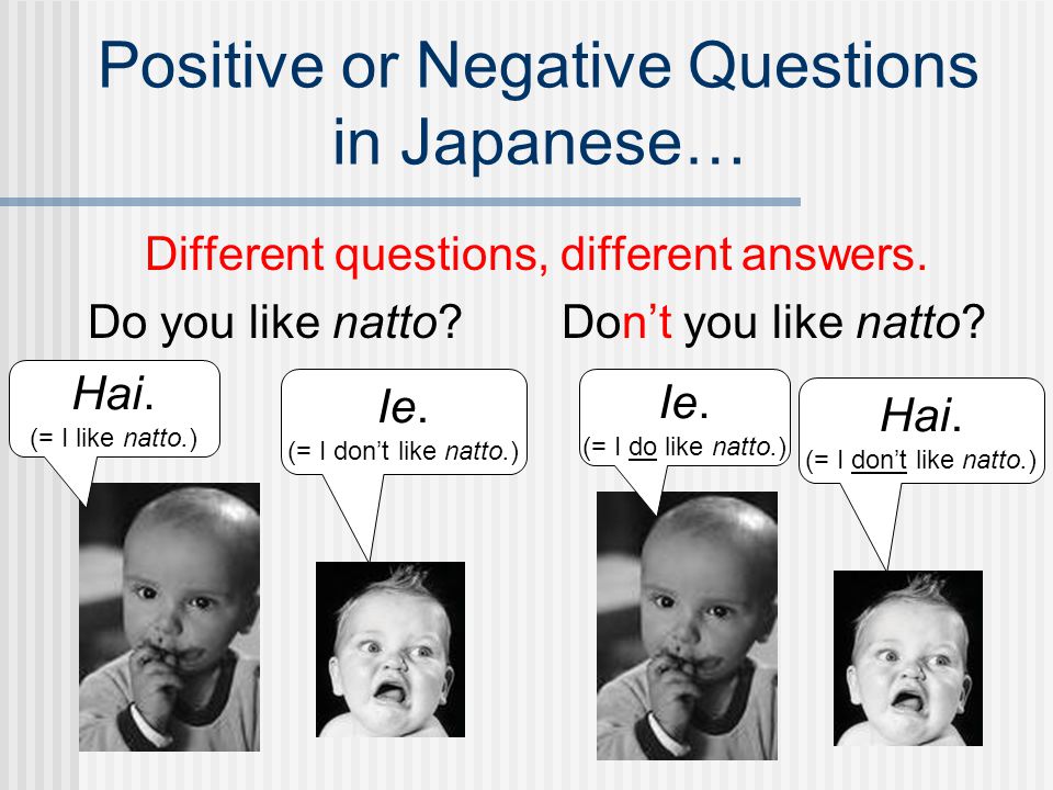 Positive or Negative Questions in Japanese…