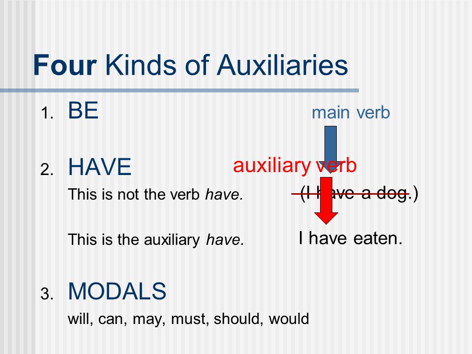 Four Kinds of Auxiliaries
