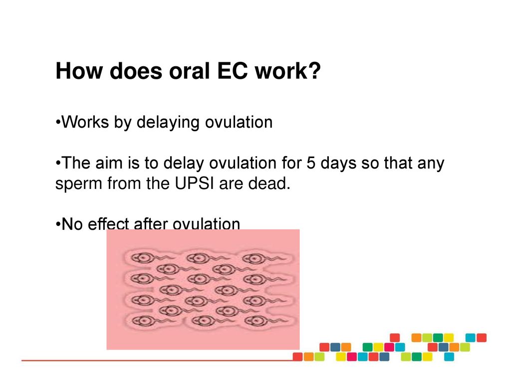 1. ppt download