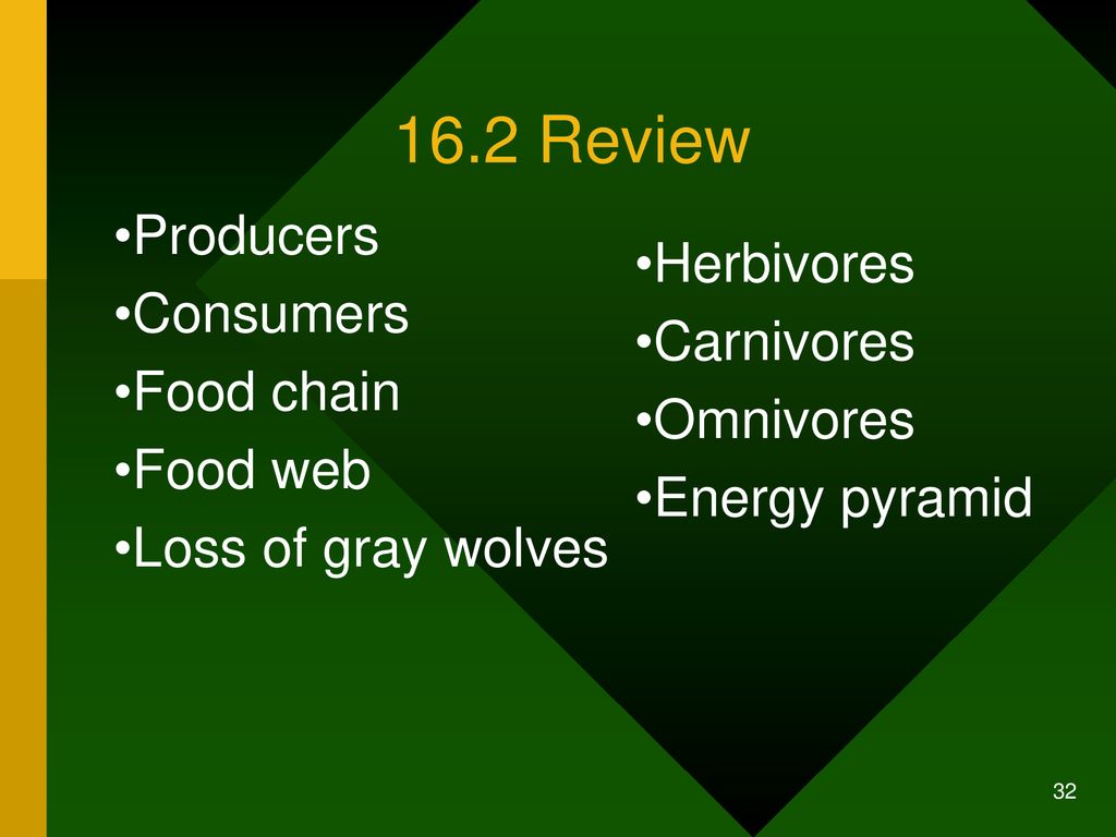 Living Things Need Energy - ppt download
