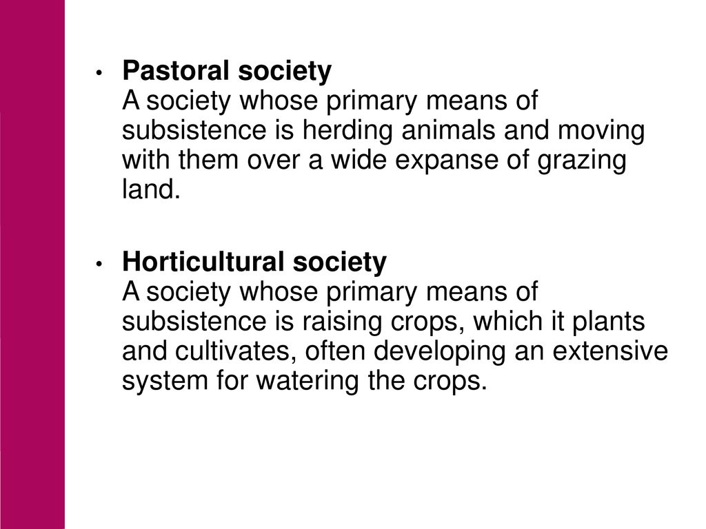 what does pastoral society mean