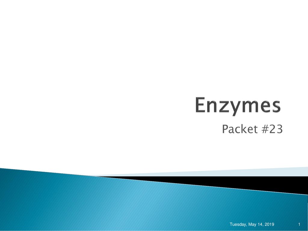 Enzymes Packet #23 Tuesday, May 14, 2019