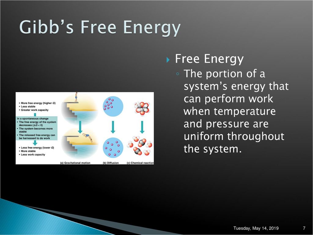Gibb’s Free Energy Free Energy