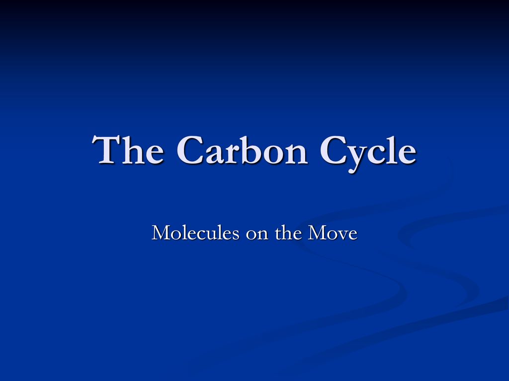 The Carbon Cycle Molecules on the Move