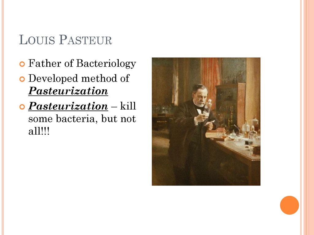 Bacteria and viruses unit 7 ppt download