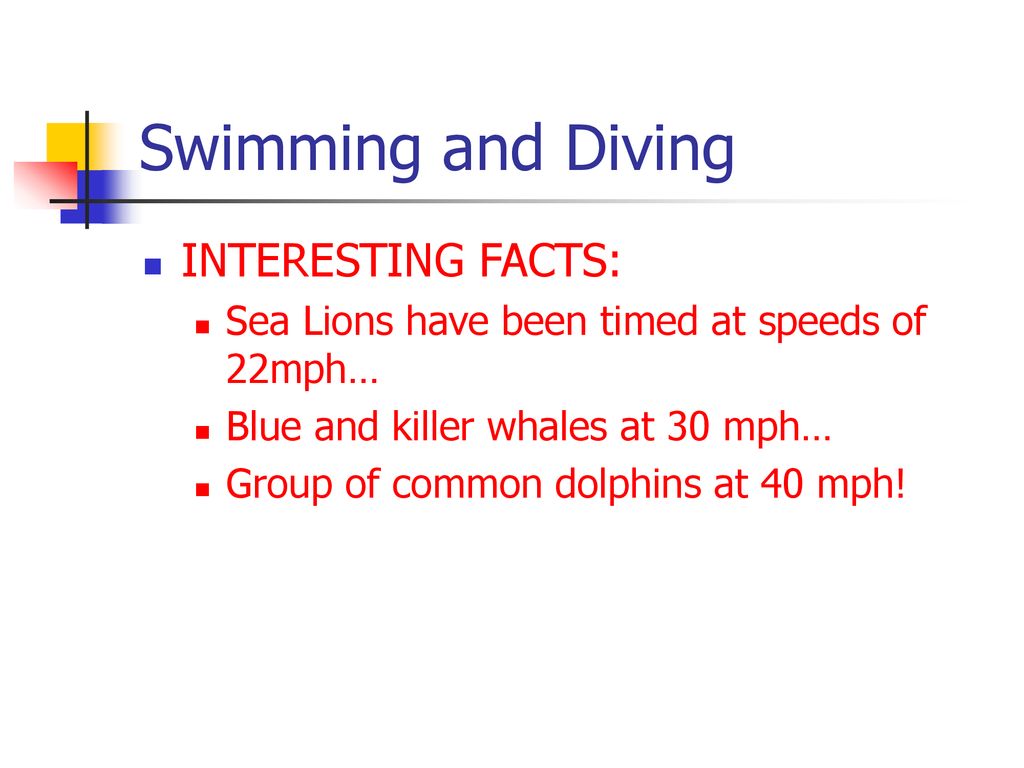 Biology of Marine Mammals - ppt download
