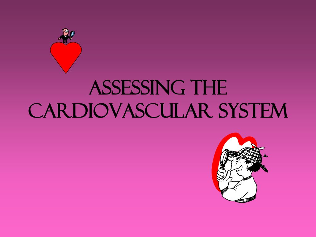 assessing-the-cardiovascular-system-ppt-download